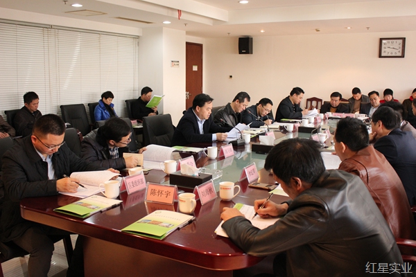 20160227雨花区支持红星新一轮发展现场办公会02.jpg