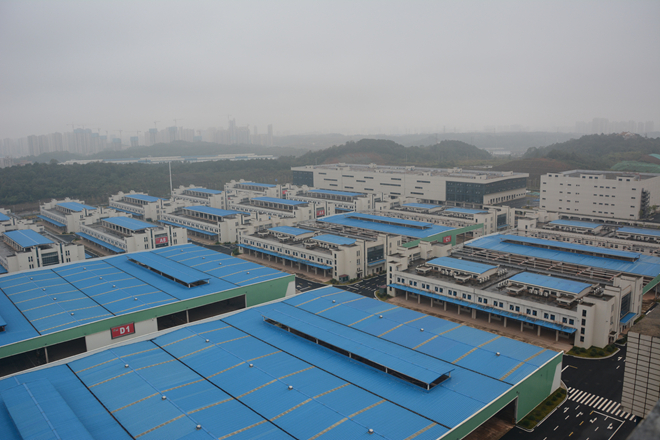 区委书记张敏视察红星新市场3