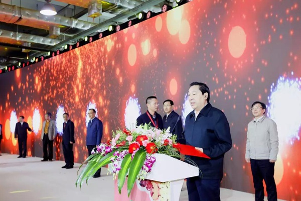 第十二届全国政协副主席齐续春宣布大会开幕 .jpg